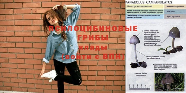 прущие крисы Аркадак