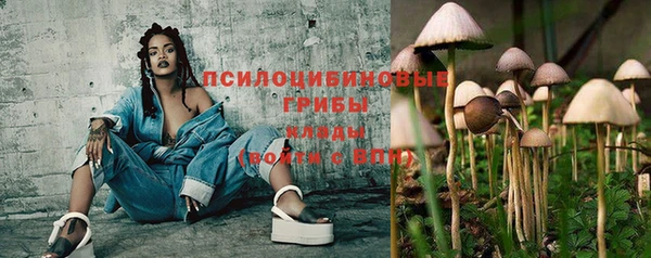 а пвп мука Арсеньев
